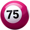 Bingo Social